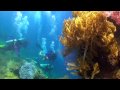 Bali-Nusa Penida-Amed-Gili Selang-Tulamben