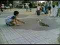 \"Juan Gaviota de Paseo por Laredo\"