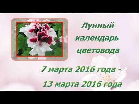 Лунный календарь 13 марта