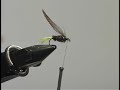 Learn Fly Tying Lesson 10 For Beginners with David Cammiss Learn Fly Tying Lesson 10 For Beginners with David Cammiss