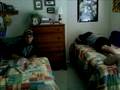 videos de Fast and Slow