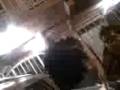videos de Chuchis Insurrecto Enfadoso