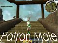 Guild Wars Dance PL