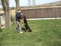 Dogdancing Dogdancing