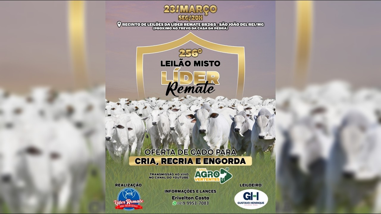 256º LEILÃO MISTO LÍDER REMATE - SÃO JOÃO DEL REI/MG - 23/03/2026