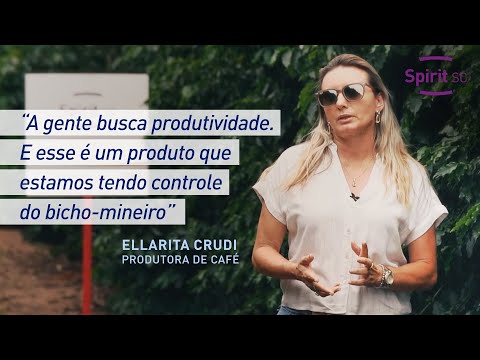 IHARA & Ouro Safra: parceria para colher grãos de alta qualidade