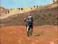 Riding with Reedy