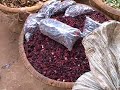 mali.episode.06.port city of mopti mali.episode.06.port city of mopti