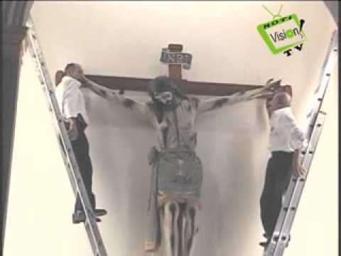 Ver Video