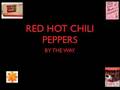 Red Hot Chilli Peppers BY THE WAY