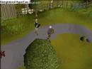The Annoying Noob Returns The Annoying Noob Returns