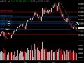 Daily Market Update, Agosto 19, 2008