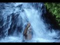 GOOD TRIP (Clipe Oficial)