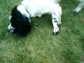 busterr 2