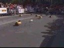 Wiener Dogs Race Dressed As Hot Dogs Wiener Dogs Race Dressed As Hot Dogs