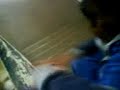JACKASS CALDAS 4