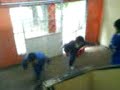 JACKASS CALDAS 4