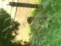 MatoLo Crash