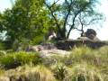 videos de WORD OF GOD SPEAK