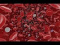 Drugs in the Body sl