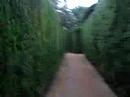 laberint dhorta i