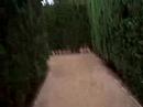 laberint dhorta i