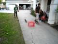 videos de MVI 0721