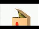 Boxed Pikachu