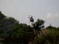Hirobo Sceadu Evo 50 in Hughes 500D