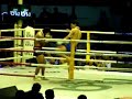Muay Thai Kickboxing Knockout