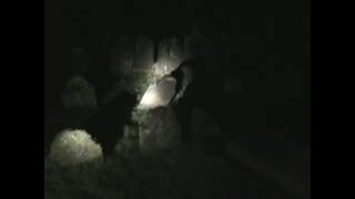 investigating Our Local Church Part 3