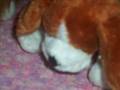 videos de Webkinz Battle 1 Part 1