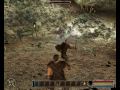 Gothic 3: Arena / Reddock