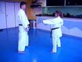 YAKUSSOKU KUMITE SHIKO DACHI SEIGOKAN