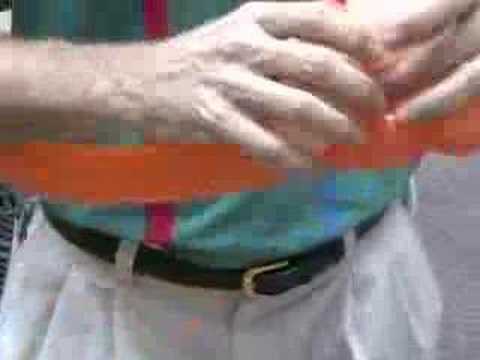 The ELVIS POULTRY SHOW Episode 17 - ...