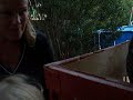 First Eggs.MOV