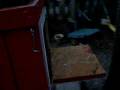 videos de First Eggs.MOV