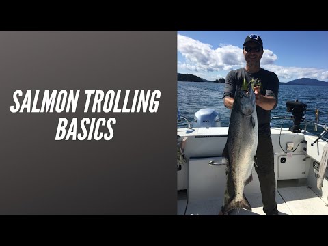Salmon Trolling Basics