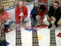 videos de Hamster Day at Petsmart: Ball races