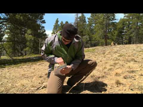 Mainstay - A review of the Mainstay 3600 Emergency Food Ration by SurvivalCache.com team.