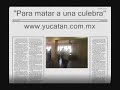 poesía coral: canto para matar a una culebra