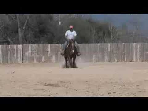 Life In The Saddle