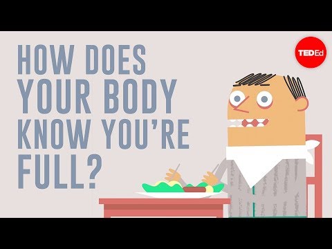Lesson 07. How does your body know you