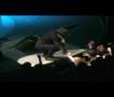 U2 NY Madison.Sqar.Gard 11-10-05 song20 WITH OR WITHOUT YOU