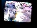 DBZ Budokai Tenkaichi 3 Handicap Match