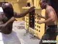 Kimbo vs Chico Fight