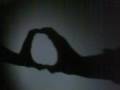 thomas karagounis plays with the shadows!!