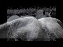 Equine Art & Photography Portfolio