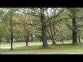 Happy Arbor Day - YouTube