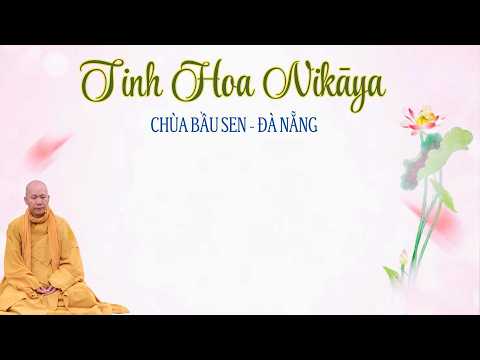 Tinh Hoa NIKAYA - Thân Người Khó Được - Cẩn Thận Nghiệp Quả - Lắng Nghe Thấu Hiểu